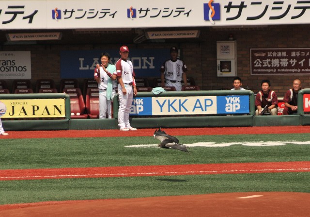 �亮������
