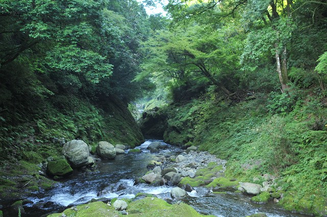 ���������ή��