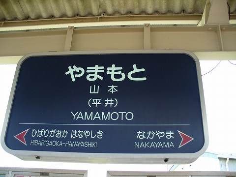 山本(平井)