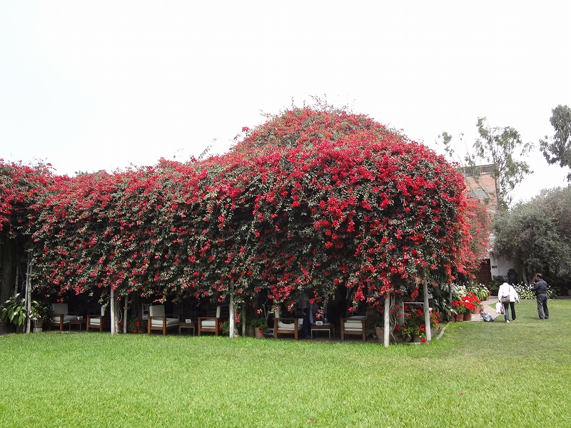 DSC02690