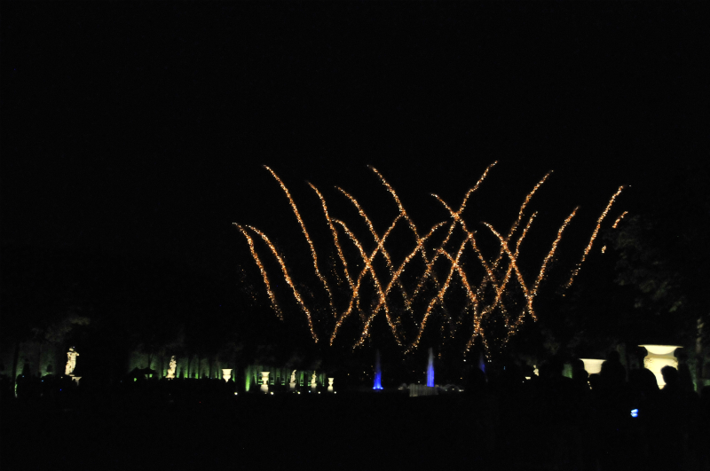 DSC_8617