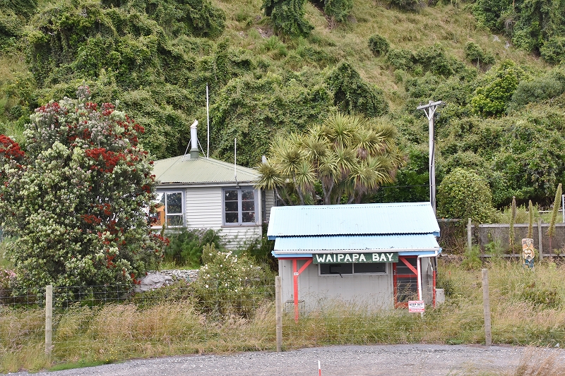 DSC_1164