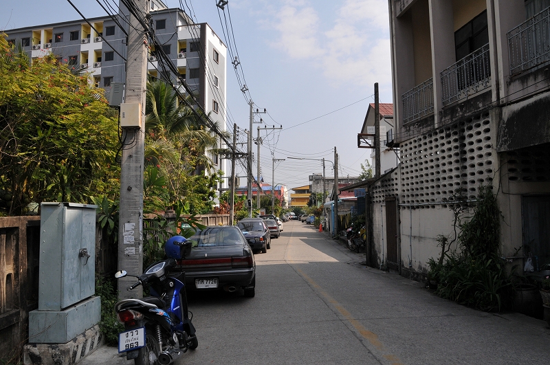 DSC_6100