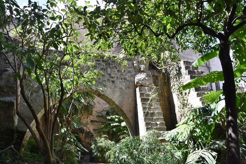 DSC_0046