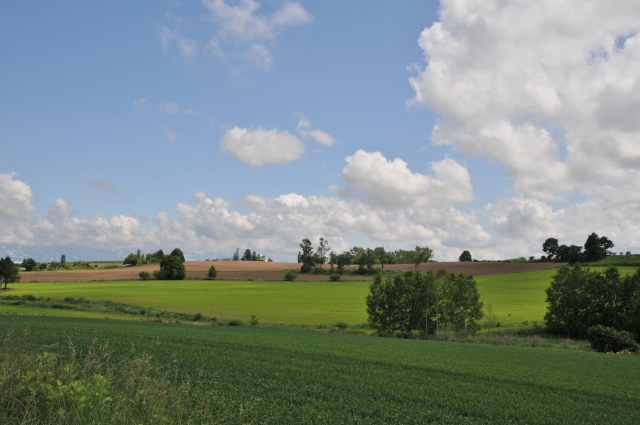 DSC_0969