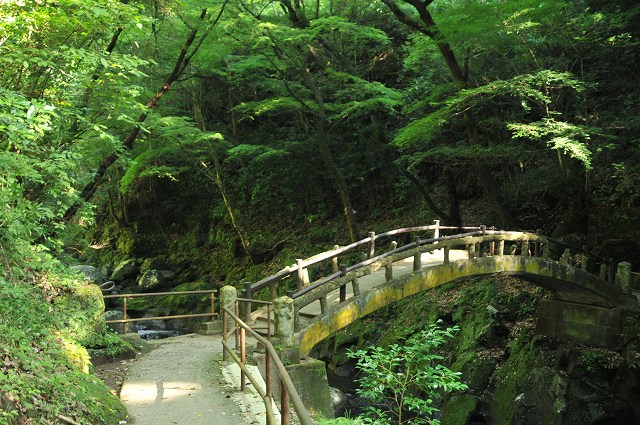 �ѥ���ݥåȤʶ�