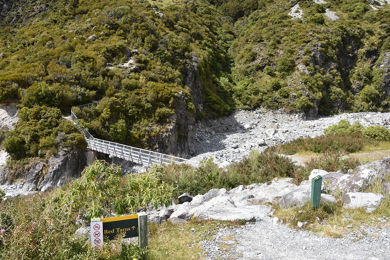 DSC_4283