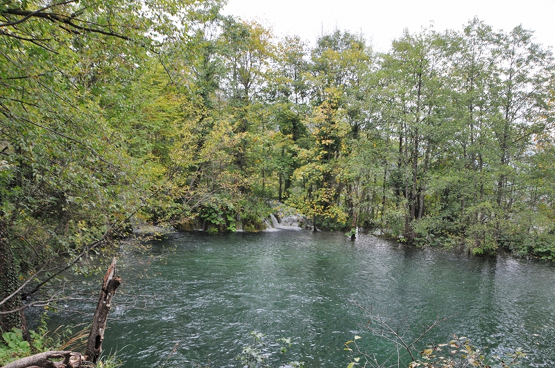 DSC_7197
