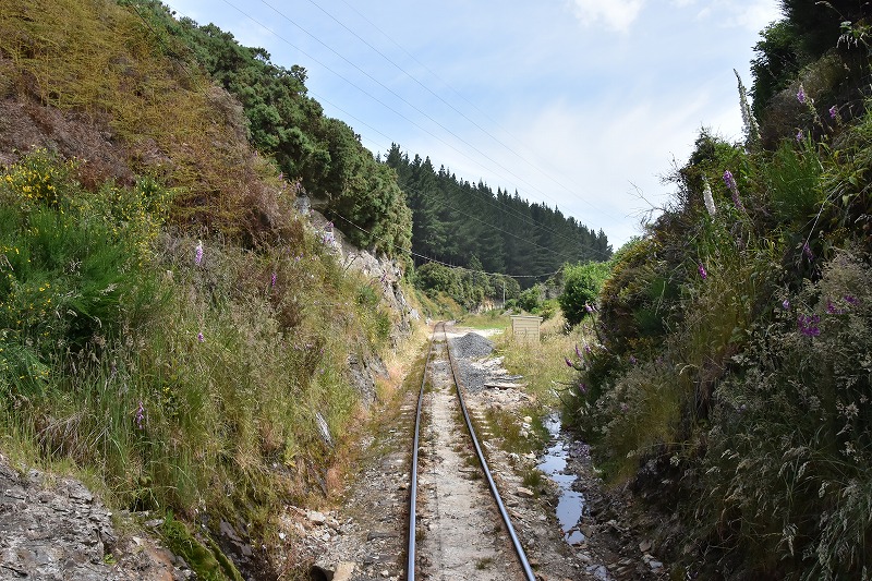 DSC_4697