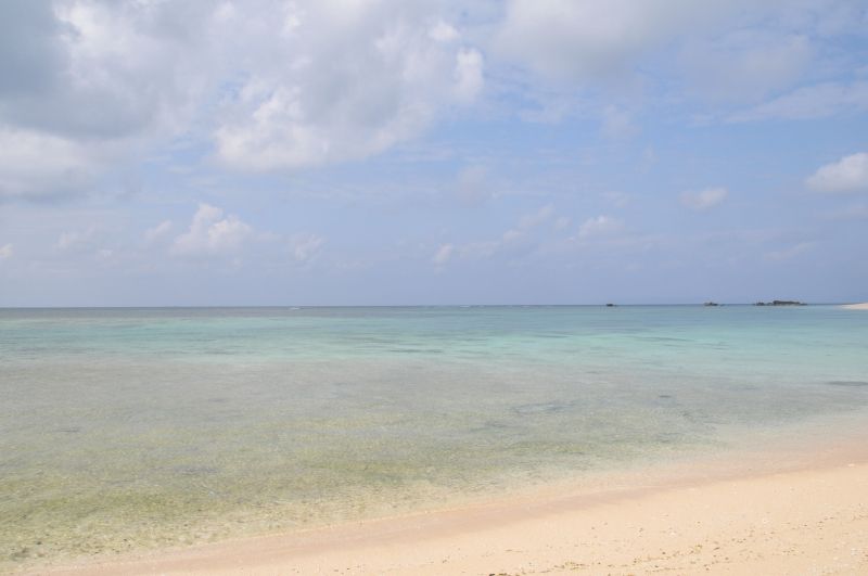 DSC_1072