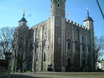 ����ɥ���