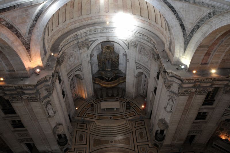 DSC_2505