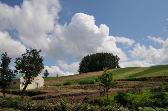 DSC_1024
