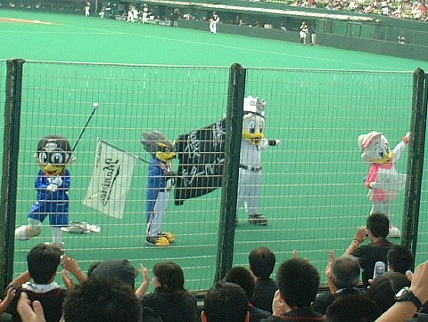 ͥ��������