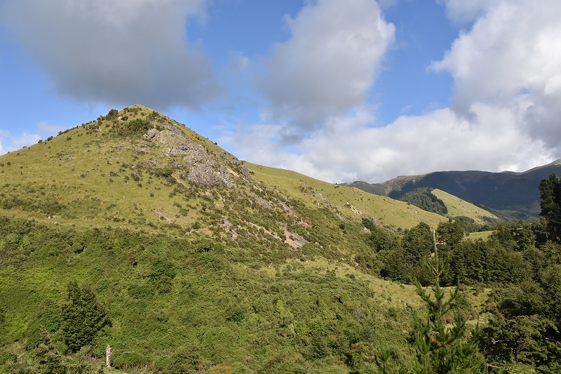 DSC_1854