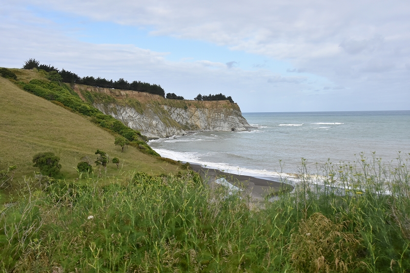 DSC_1701