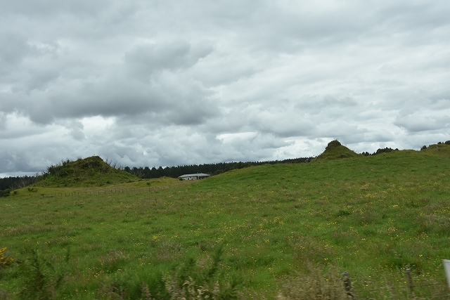 DSC_8469