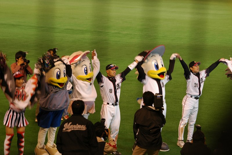 �Ӳ𺣹�����