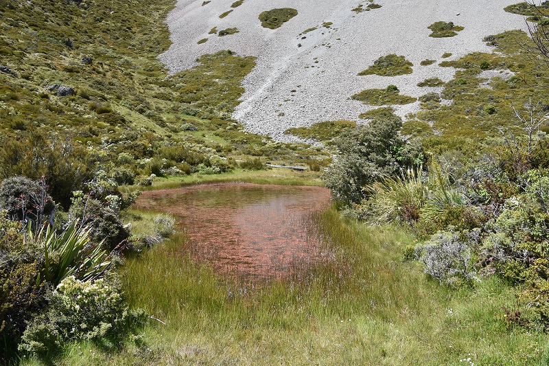 DSC_4360