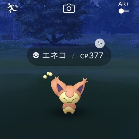 【ポケモンGO】エネコ：スポットライトアワー反省会「久しぶりに色出た！」「色違いなのに通常と違い無くない？」