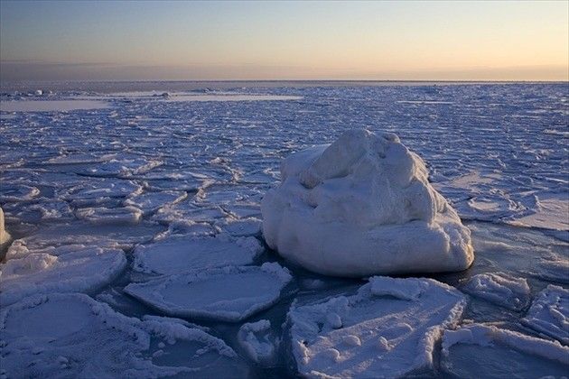 流氷にノリで乗ったおばあちゃん、そのまま流され冒険の旅が始まってしまうｗｗｗｗ