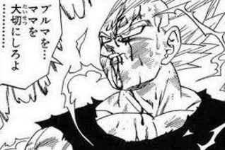 【掲示板】お前らがドラゴンボールで一番好きなシーン