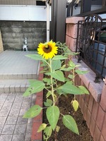 10��7��