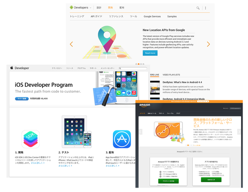 developer