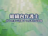 soshikinai