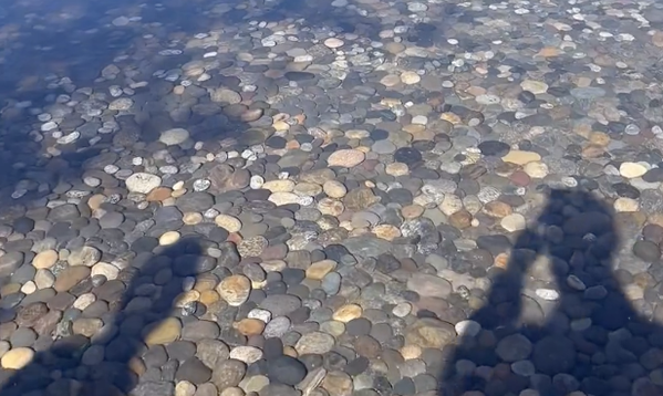 �����꡼�󥷥�å� 2022-12-02 9.22.19