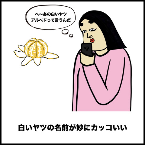 みかんあるある.009