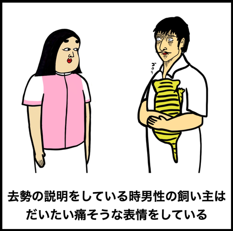 スクリーンショット 2022-10-16 7.46.17