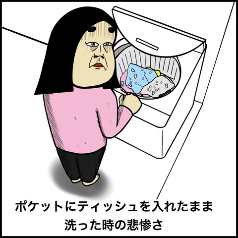 洗濯あるある _0.008
