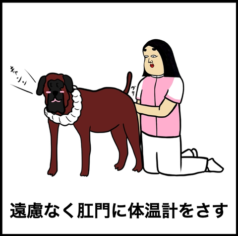 スクリーンショット 2022-10-16 7.46.18