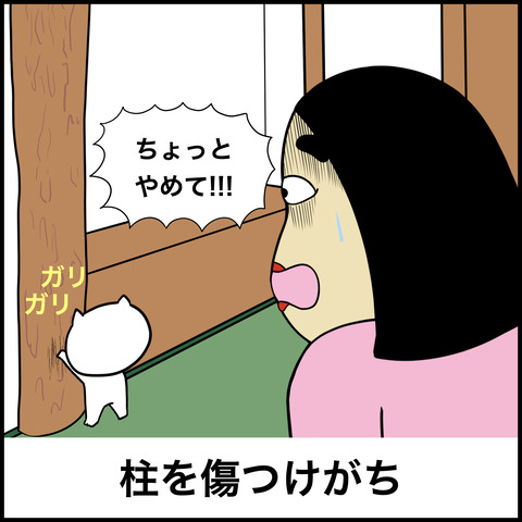 猫あるある.009