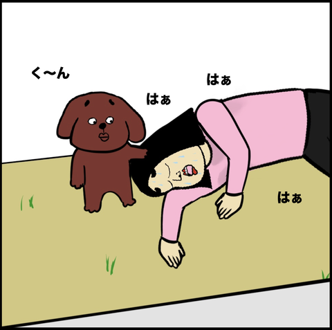 スクリーンショット 2019-11-01 11.48.01