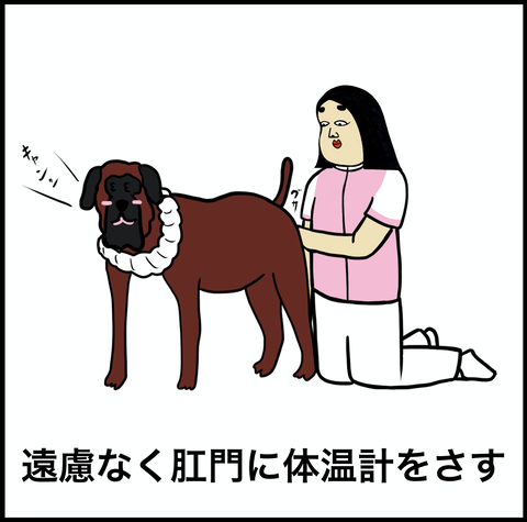 スクリーンショット 2020-01-18 11.48.08