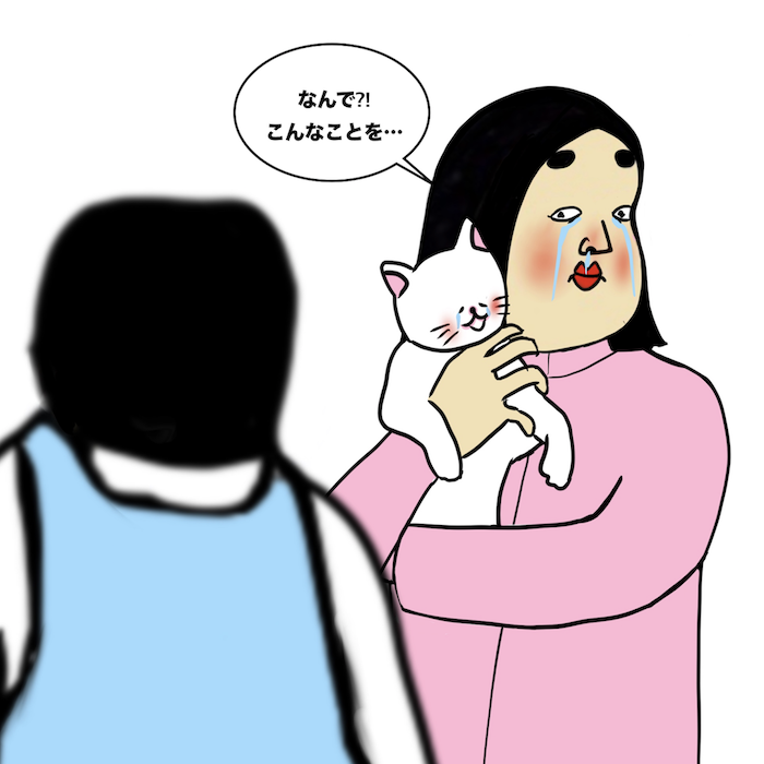 第162話 愛猫が誘拐!?不審男を追う!!【超現代風源氏物語】