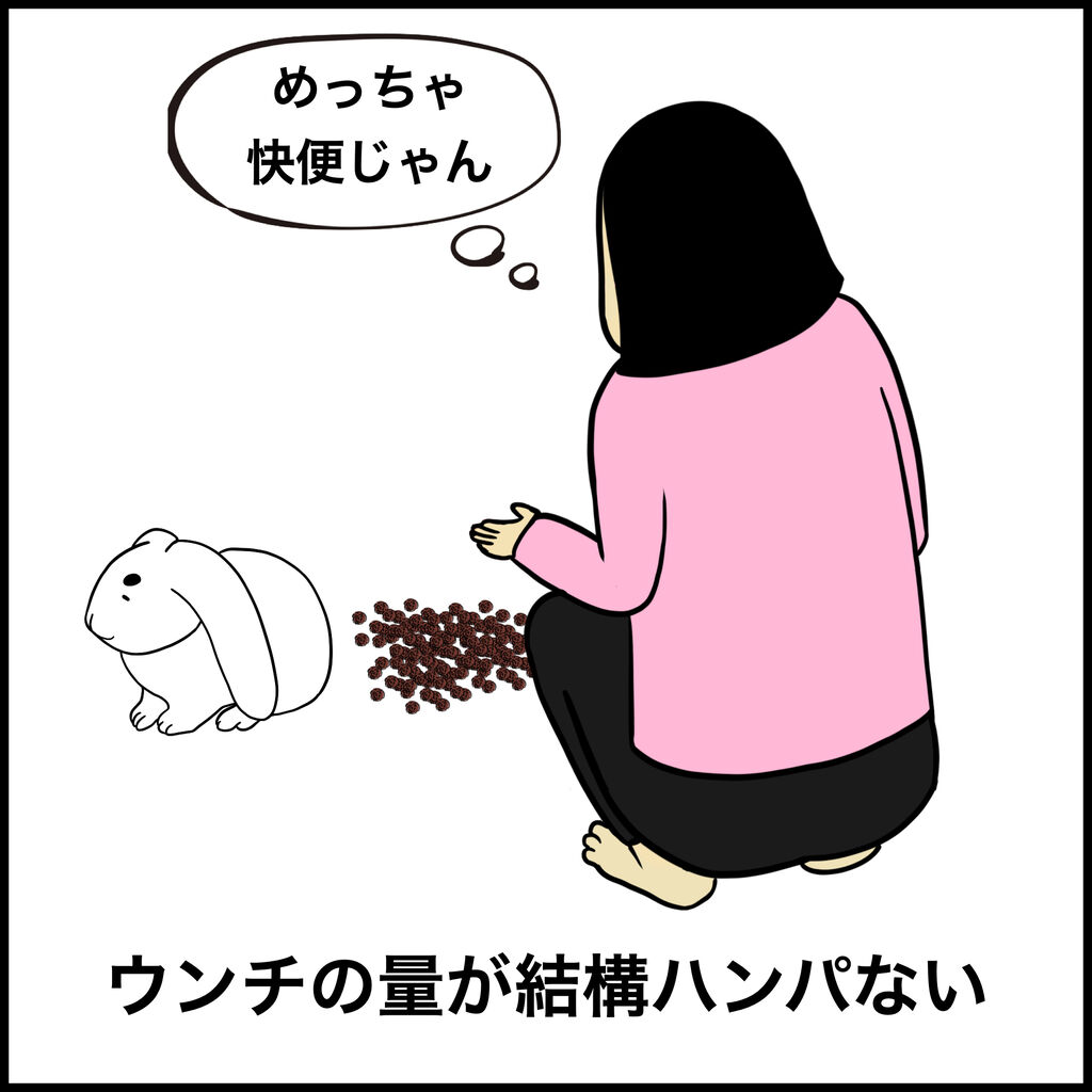 ウサギを飼ってる人あるある Busonコンテンツ Powered By ライブドアブログ