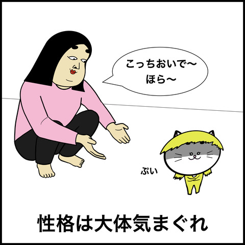 猫あるある.003