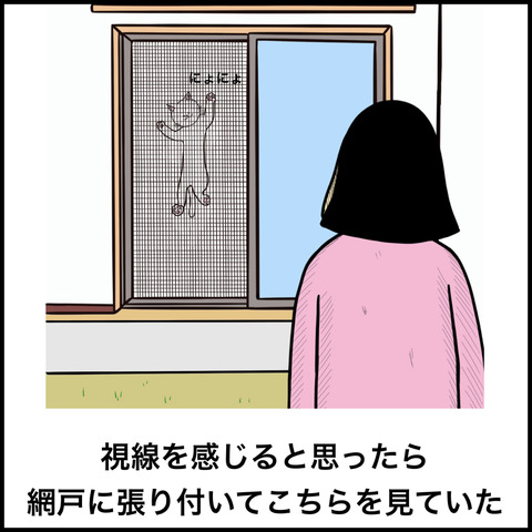 猫あるある.008