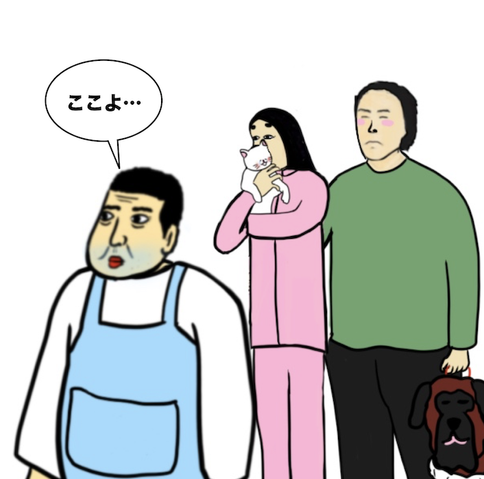 第164話 愛猫が誘拐!?不審男を追う!!【超現代風源氏物語】