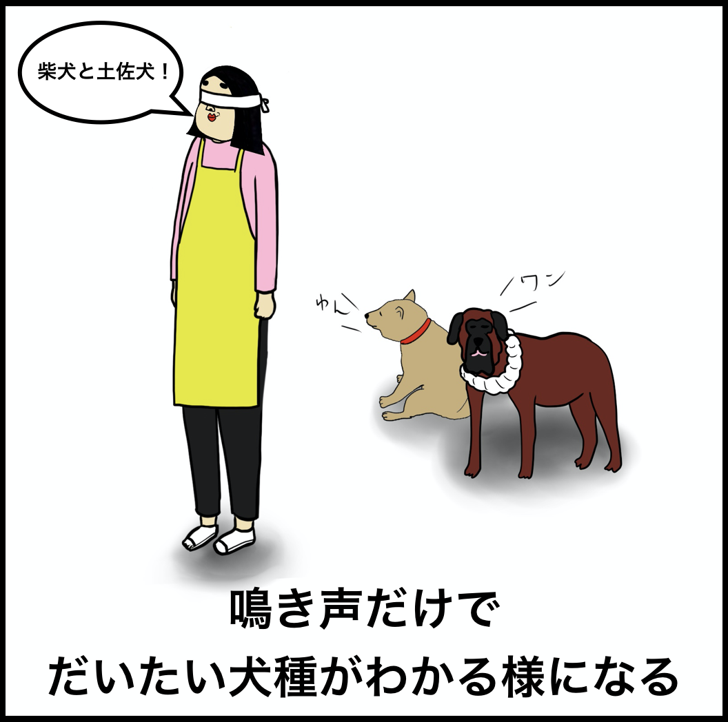 トリマーあるある９選 Busonコンテンツ Powered By ライブドアブログ