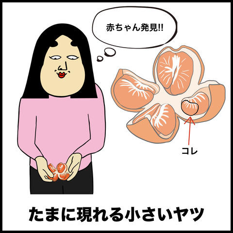 みかんあるある.006