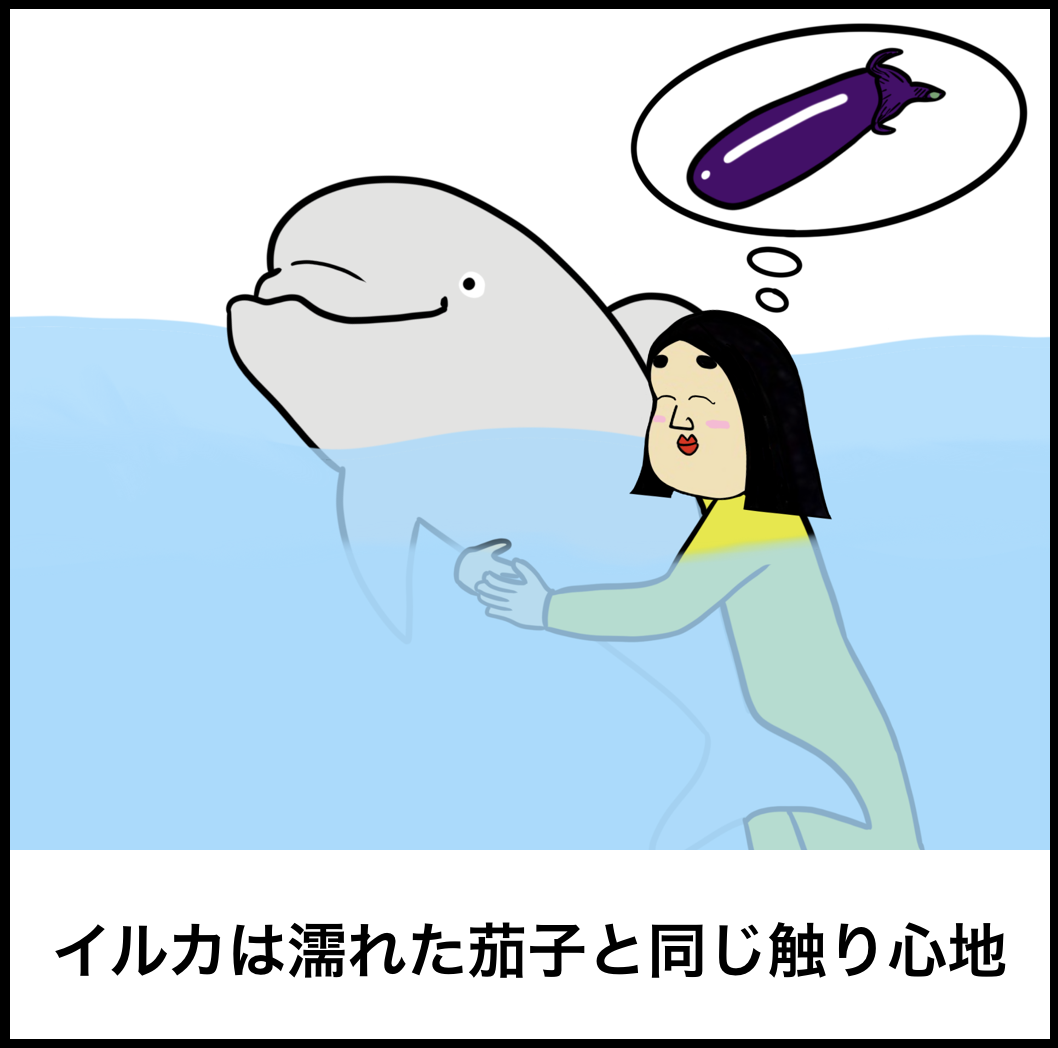 ドルフィントレーナーあるある Busonコンテンツ Powered By ライブドアブログ