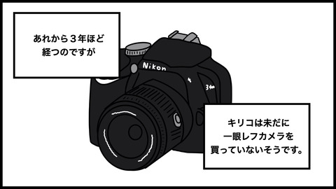 ディズニーとカメラ.021