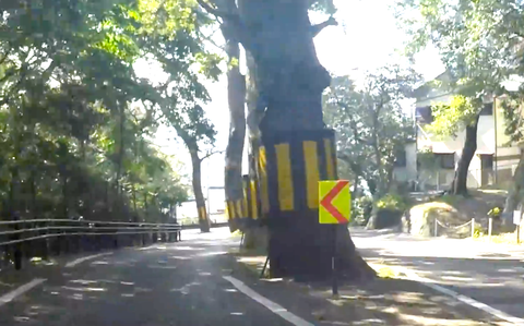 スクリーンショット 2019-11-20 16.32.35