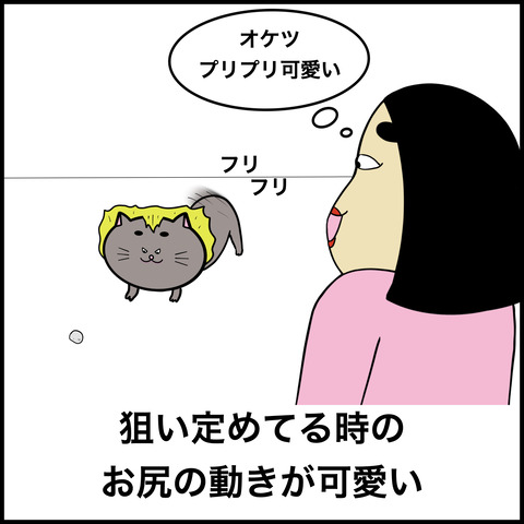 猫あるある.007