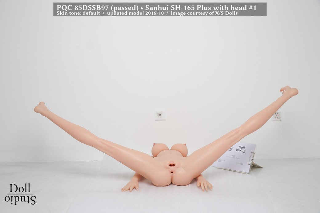 2V6A4723-40PQC-85DSSB97