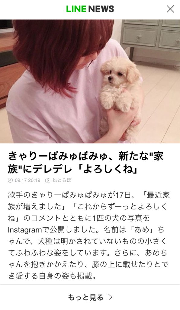 きゃりーぱみゅぱみゅの あめちゃん snsでも大好評 猫よっといで 動物みんなよっといで Come On Catsandanimals きゃりーぱみゅぱみゅの あめちゃん snsでも大好評 猫よっといで 動物みんなよっといで Come On Catsandanimals